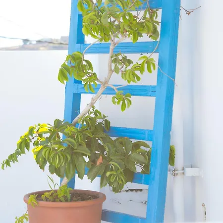 Appartamento Dafne & Chloe Terrace