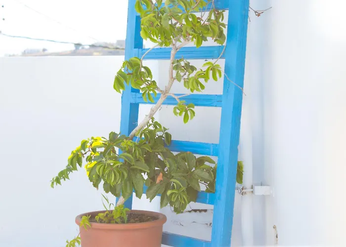 公寓 Dafne & Chloe Terrace