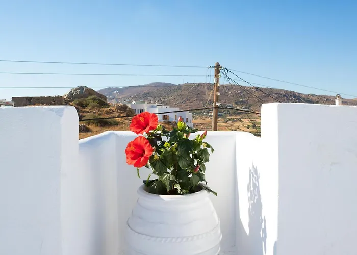 公寓 Dafne & Chloe Terrace